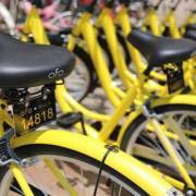 共享經(jīng)濟浪潮下的軟件開發(fā)展望 2018年的變革與機遇